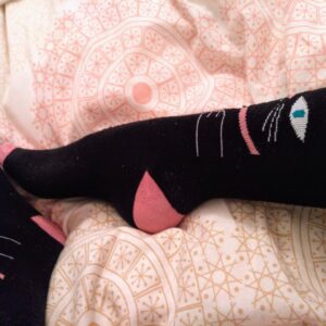 Calcetines de gato